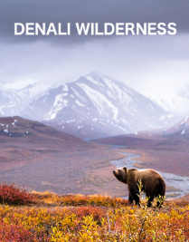 Watch Denali Wilderness