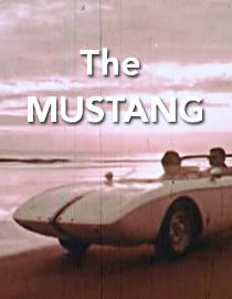 Watch The Mustang